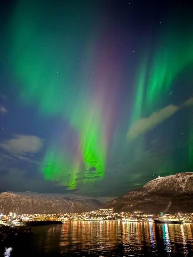 Leilighet Ved Havet Med Utsikt Over Tromsoysundet. Екстер'єр фото